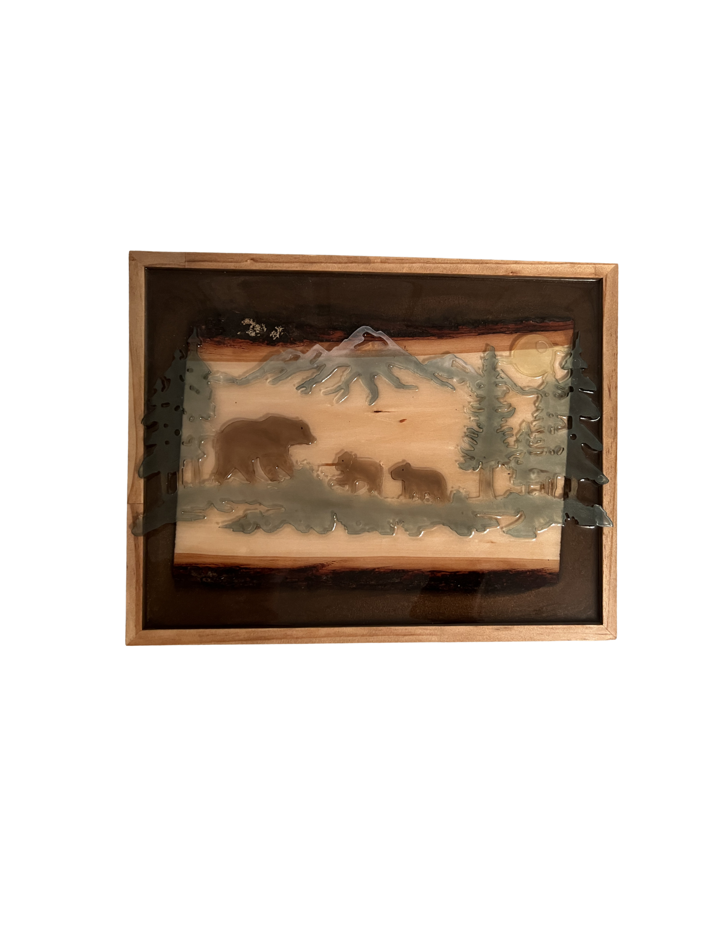 Bear Picture
