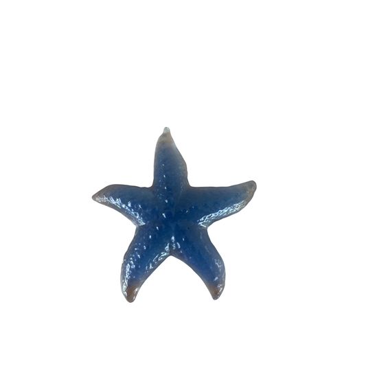 Starfish