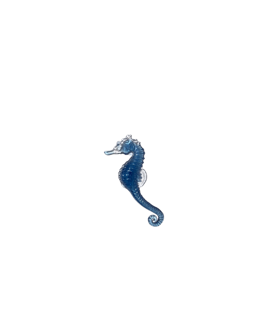 Small Seahorse
