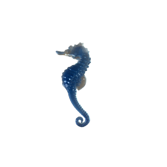 Small Seahorse